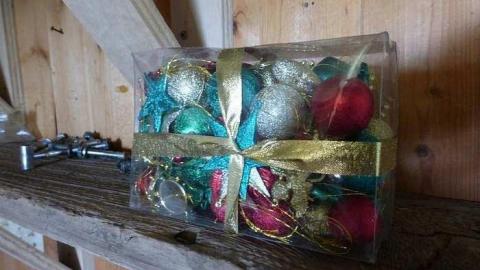 Stinky - P1110075.jpg