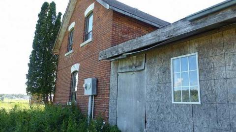 Stinky - P1110077.jpg