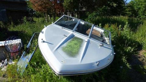 Stinky - P1110078.jpg