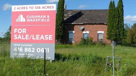 Stinky - P1110079.jpg