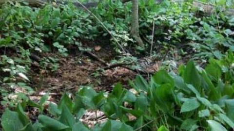 7&407 n/e corner - Brougham28.jpg