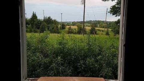 July 2nd 2017 - Television-Keene-TwoForOne2.jpg