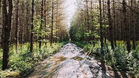 Awesome Architecture  - Pefferlaw-Shining-House47.jpg