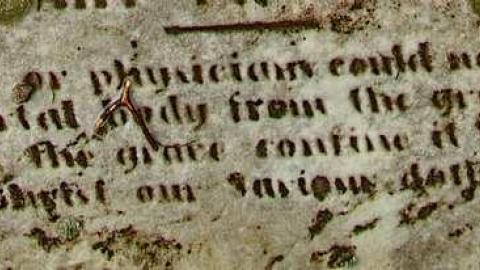 Could Not Save From The Grave - Allenford-Pioneer-Cemetery3.jpg