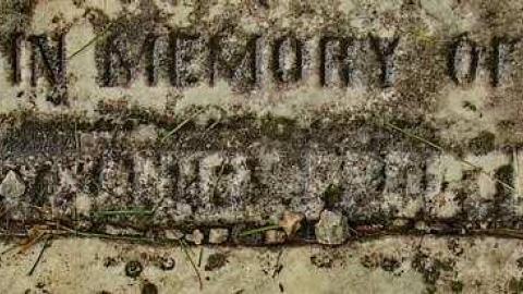 Could Not Save From The Grave - Allenford-Pioneer-Cemetery4.jpg