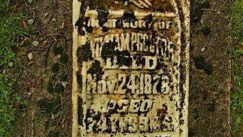 Could Not Save From The Grave - Allenford-Pioneer-Cemetery7.jpg