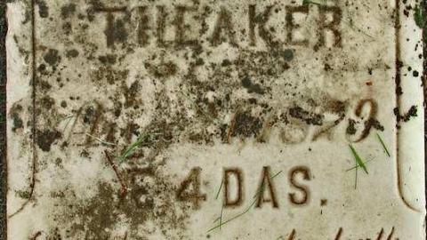 Could Not Save From The Grave - Allenford-Pioneer-Cemetery8.jpg