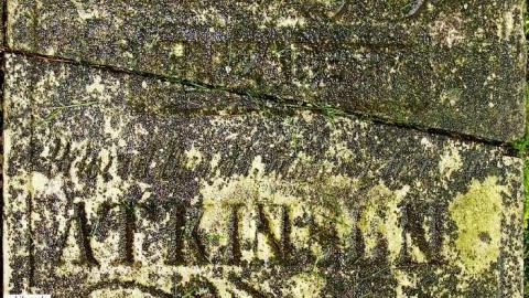 Could Not Save From The Grave - Allenford-Pioneer-Cemetery10.jpg