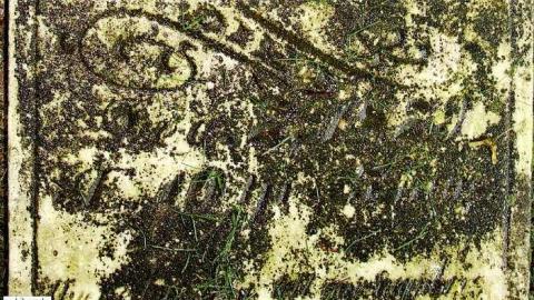 Could Not Save From The Grave - Allenford-Pioneer-Cemetery11.jpg