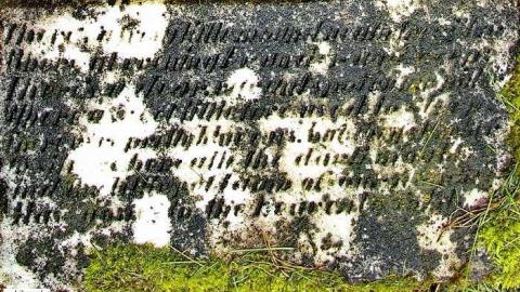 Could Not Save From The Grave - Allenford-Pioneer-Cemetery12.jpg