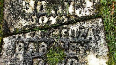 Could Not Save From The Grave - Allenford-Pioneer-Cemetery13.jpg