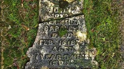 Could Not Save From The Grave - Allenford-Pioneer-Cemetery14.jpg