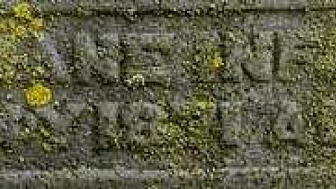 Could Not Save From The Grave - Allenford-Pioneer-Cemetery15.jpg