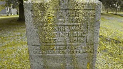 Could Not Save From The Grave - Allenford-Pioneer-Cemetery16.jpg