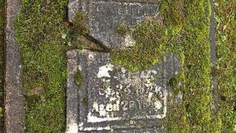 Could Not Save From The Grave - Allenford-Pioneer-Cemetery17.jpg