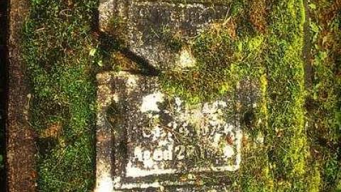 Could Not Save From The Grave - Allenford-Pioneer-Cemetery18.jpg