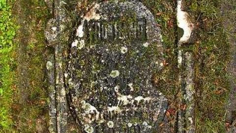 Could Not Save From The Grave - Allenford-Pioneer-Cemetery21.jpg