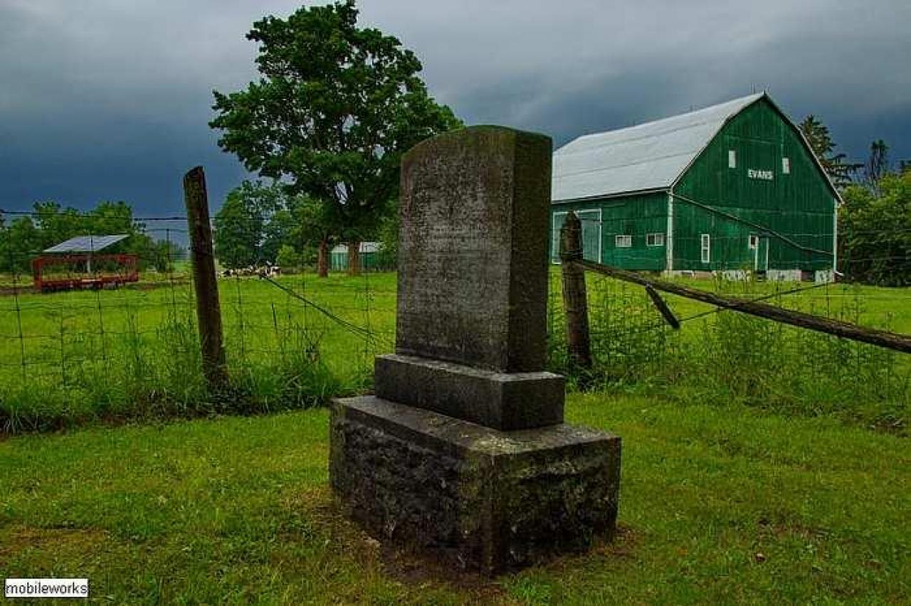 Could Not Save From The Grave - Allenford-Pioneer-Cemetery22.jpg