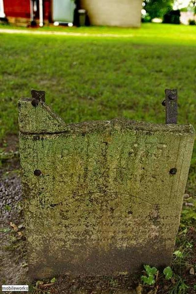 Allenford Pioneer Cemetery photo 3