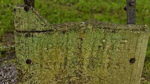 Could Not Save From The Grave - Allenford-Pioneer-Cemetery25.jpg