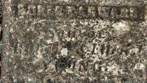 Could Not Save From The Grave - Allenford-Pioneer-Cemetery26.jpg