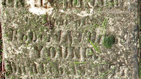 Could Not Save From The Grave - Allenford-Pioneer-Cemetery28.jpg