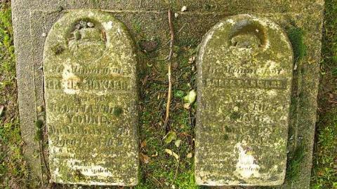 Could Not Save From The Grave - Allenford-Pioneer-Cemetery29.jpg