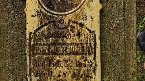 Could Not Save From The Grave - Allenford-Pioneer-Cemetery31.jpg