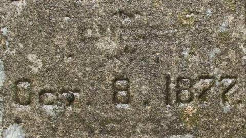 Could Not Save From The Grave - Allenford-Pioneer-Cemetery32.jpg