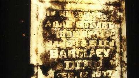 Could Not Save From The Grave - Allenford-Pioneer-Cemetery35.jpg