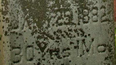 Could Not Save From The Grave - Allenford-Pioneer-Cemetery36.jpg