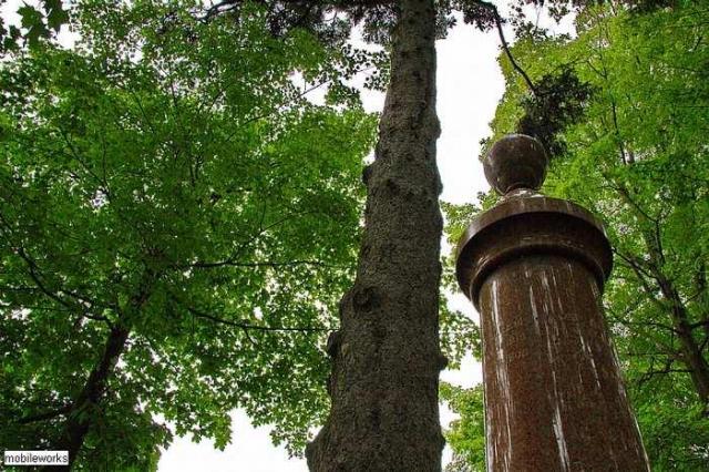 Allenford Pioneer Cemetery photo 4