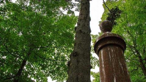 Allenford Pioneer Cemetery photo 4