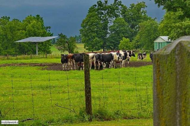 Allenford Pioneer Cemetery - South Bruce Peninsula, Ontario