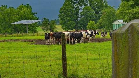 Allenford Pioneer Cemetery - South Bruce Peninsula, Ontario