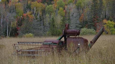 Old Highway 17 photo 3