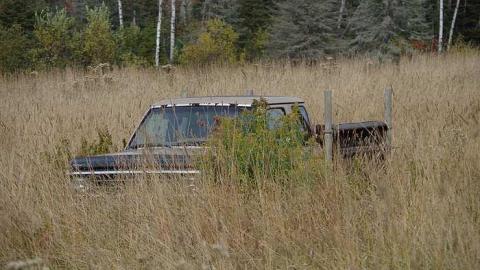 Old Highway 17 photo 5