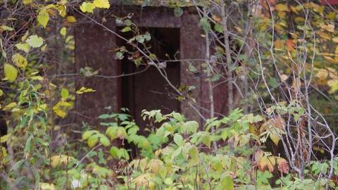 Old hwy 17 - Old-Highway-1711.jpg