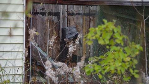 Old Highway 17 photo 4