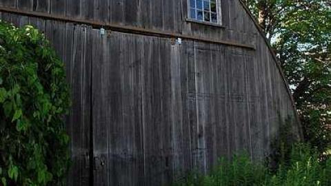 Covered In Dust - DSC_1006.jpg