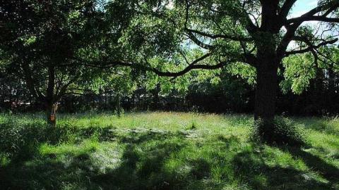 Covered In Dust - DSC_1005.jpg