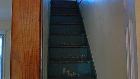 Covered In Dust - DSC_0995.jpg