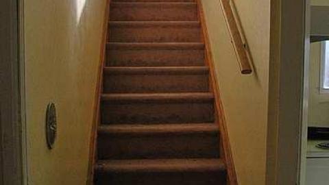 Covered In Dust - DSC_0980.jpg