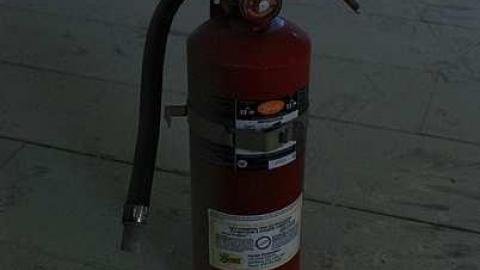 Covered In Dust - DSC_0976.jpg