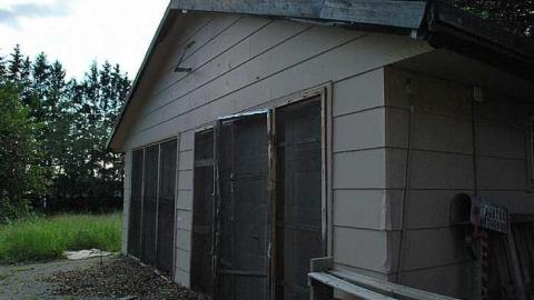 Covered In Dust - DSC_0974.jpg