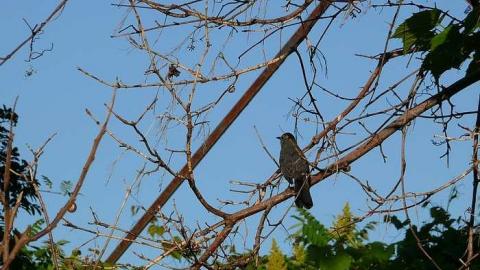 Firing Tower - Long-Branch-Arsenal-Lands17.jpg