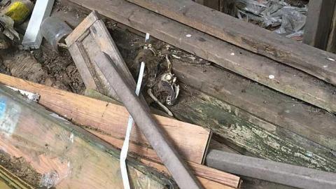 Photo from June 2017 Visit