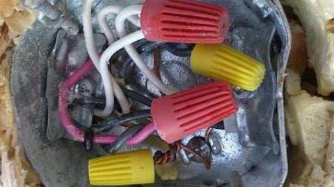 Friggin Vandals - Pefferlaw-Shining-House53.jpg