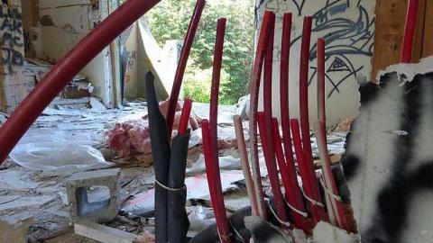 Friggin Vandals - Pefferlaw-Shining-House54.jpg