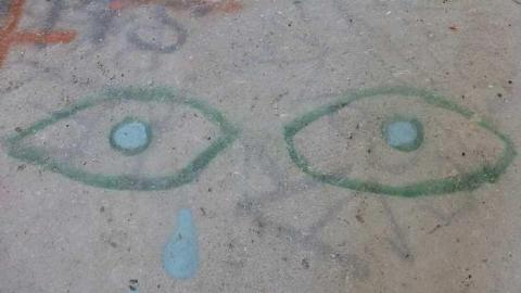 Friggin Vandals - Pefferlaw-Shining-House55.jpg